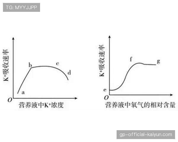 泳道线吸收的波浪能量，泳道线颜色分布