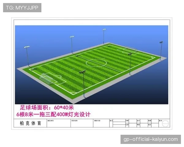 足球场馆节能灯具集中采购中标公告，足球场馆照明